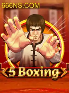 5Boxing